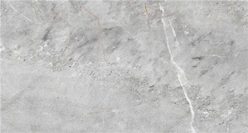 安華瓷磚大師系列 750x1500mm時(shí)尚界萌寵