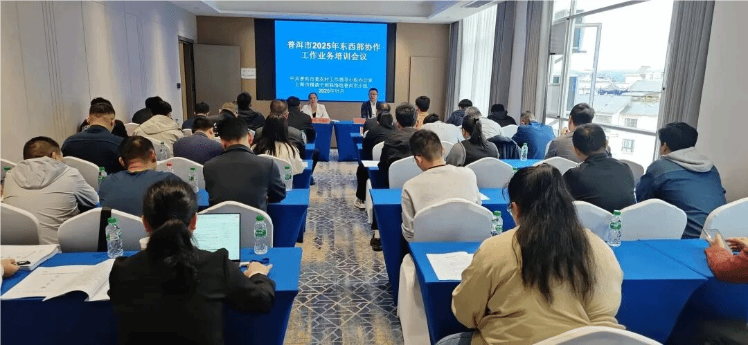 普洱市成功舉辦2025年東西部協(xié)作工作業(yè)務培訓會